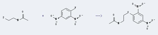 Acetamide,N-(2-mercaptoethyl)- can react with 1-fluoro-2,4-dinitro-benzene to produce N-[2-(2,4-dinitro-phenylsulfanyl)-ethyl]-acetamide